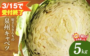 G3684 【3月15日受付終了】泉州キャベツ 5kg 2～5玉 射手矢農園 訳あり サイズ不揃い【新鮮 野菜 泉佐野産 やさい 射手矢農園 高評価 数量限定 スピード発送】