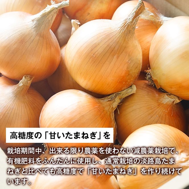 淡路島玉ねぎ（10キロ）　玉ねぎ 産地直送