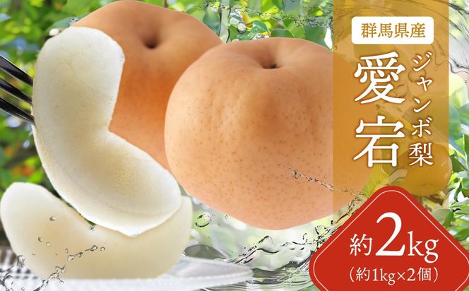 【先行予約】群馬県産ジャンボ梨「愛宕」2個(1個あたり約1.0～1.1kg)【11月中旬～12月下旬発送予定】ANAH001