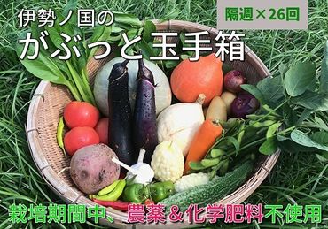 【26-2】伊勢ノ国のがぶっと野菜玉手箱　：　隔週1回定期便（大人4人1週間分）26回