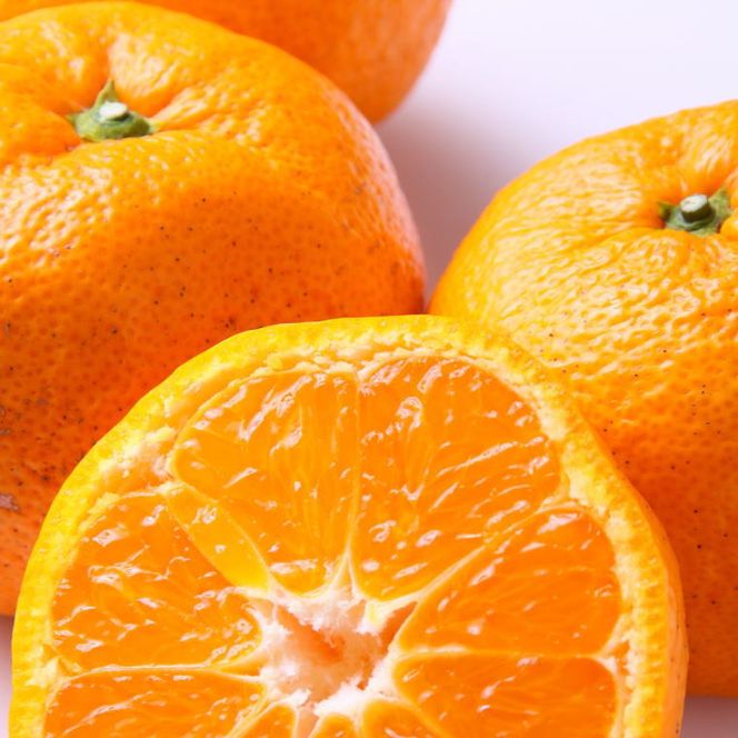 ZD7019_【2026年先行予約】【訳あり】 和歌山 有田みかん 5kg（S～Lサイズいずれかお届け）