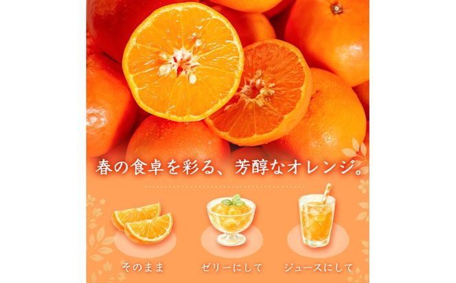 【先行予約】【訳あり・ご家庭用】 セミノールオレンジ 約5kg ジューシー柑橘 和歌山県産