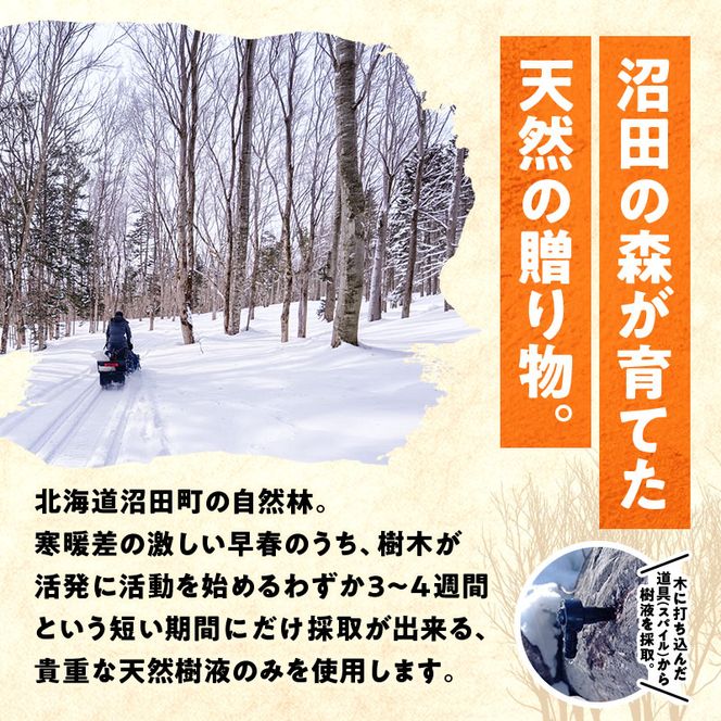 メープルシロップ「snow」（65g）5本セット  国産 北海道 樹液 食品 沼田町 n-0112