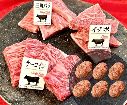 特撰近江牛おすすめ部位　焼肉3種300ｇ＆近江牛生ハンバーグ６個セット【FO41SM】