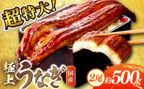 特大！極上！国産うなぎ蒲焼 2尾 合計500g前後 ＜鰻の蒲焼き ウナギのかば焼き 超特大かばやき 肉厚カバヤキ スタミナ 土用の丑の日 小分け＞　YK00401