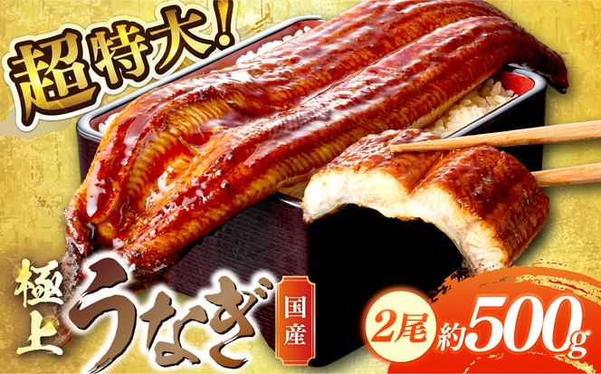特大！極上！国産うなぎ蒲焼 2尾 合計500g前後 ＜鰻の蒲焼き ウナギのかば焼き 超特大かばやき 肉厚カバヤキ スタミナ 土用の丑の日 小分け＞　YK00401