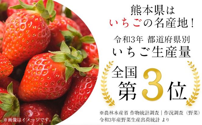 【3ヶ月定期便】先行予約 いちご 苺 ゆうべに 約500g  約250g×2パック 定期便 熊本 いちご 苺 イチゴ 熊本県 氷川町 ゆうべに いちご《1月中旬-3月末頃出荷》熊本県 氷川町 果物 フルーツ 先行 予約 アフター保証 ふるさと納税 いちご おすすめ---hkw_cjaybntei_24_22500_2p_jan3---