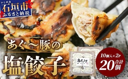 ≪餃子≫ あぐー豚 ぎょうざ 20個【 ブランド豚 アグー豚 ぎょうざ 餃子 焼き餃子 水餃子 焼餃子 沖縄県 石垣市 】GS-3