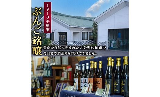 長期樽貯蔵酒　『狩生Classic 17年』(500ml×1本) プレミアム 数量限定 酒 アルコール 木樽 貯蔵酒 国産 【AN97】【ぶんご銘醸】