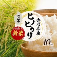 ヒノヒカリ 玄米 10kg 令和8年産 新米 香川県産 さぬき米 ひのひかり 小路農園 お米 玄米ごはん ご飯 おにぎり 主食 奨励品種 小粒 厚み 家族総出 一斉出荷 お弁当 米 甘み 旨み 東かがわ市 46312583◆