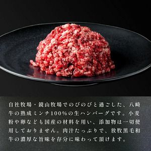 八崎牛のハンバーグ120g×8個 N0105-YZB246