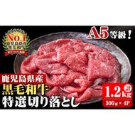 A5等級！鹿児島県産 黒毛和牛特選切り落とし 計1,200g (300g×4P) b0-163-D