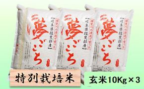 特別栽培米 【 令和8年産 】 玄米 30kg【 夢ごこち 】