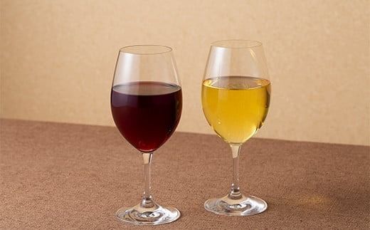 FYN6-238 【月山トラヤワイナリー】月山山麓 白・赤 飲み比べセット 各720ml 白ワイン 赤ワイン 山形県 西川町