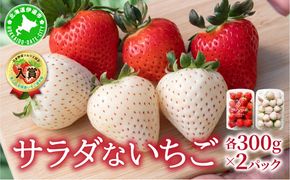 ＜2027年先行予約＞ サラダないちご（赤・白）【ecg-003】