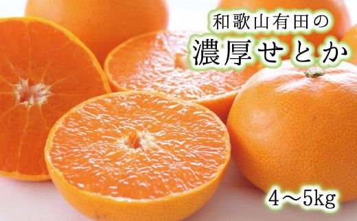 【赤秀】 和歌山 有田の濃厚 せとか 4～5kg / くだもの フルーツ 果実 果物 有田 みかん 晩柑 ※2027年2月中旬～3月中旬に順次発送 【ard014-noko-p-4-5】