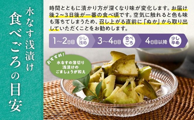 G5565 【先行予約】特選 無添加 水なす漬け 徳用水ナス セット【食べ比べ 新鮮 野菜 泉佐野産 茄子 やさい TONOファーム 高評価】