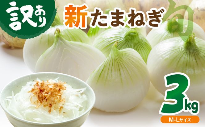 【訳あり】新たまねぎ 3kg JA00093