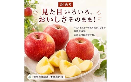FYN6-432 《2026年先行予約》ご家庭用 山形県産 サンふじりんご 5kg 2026年11月下旬から順次発送 林檎 リンゴ 秋果実 冬果実 果物 くだもの フルーツ 訳あり 農業者 農家 支援 自宅 家庭 産地直送 山形県 西川町 月山