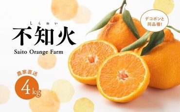 【先行予約】Saito Orange Farmの不知火4kg ｜ 柑橘 みかん ミカン フルーツ 果物 でこぽん デコポンと同品種 愛媛　※離島への配送不可　※2025年3月中旬頃より順次発送予定