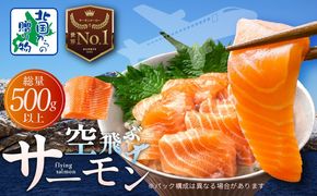 099H3605 アトランティックサーモン 総量 500g以上【フィレ エコパック 訳あり サイズ不揃い 刺身 さーもん 冷凍 北国からの贈り物】