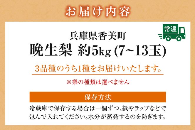 【2026年産 先行予約】【晩生梨 品種 （新興梨 王秋梨 愛宕梨のいずれか）5kg（7～13玉）】【令和8年10月中旬以降発送予定】 晩生品種 新興・王秋・愛宕 梨 なし ナシ 和梨 フルーツ 大人気 人気 甘い みずみずしい 果実 果物 新鮮 旬の果物 おすすめ ランキング 国産 香住 贈り物 贈答 ギフト 秋 冬 兵庫県 香美町 香住 JAたじま 16000円 12-24