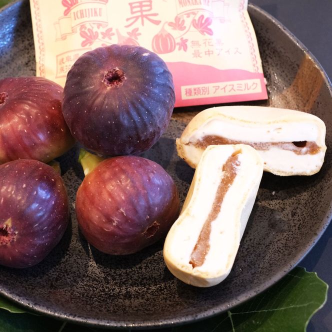 【はやし柿園】いちじく最中アイス 、富有柿最中アイス 食べ比べセット 各5個 