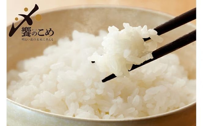 【6回 無洗米 定期便 】〈2026年3月より初回出荷〉石川県産 こしひかり 5kg×6回 総計30kg [中橋商事 石川県 宝達志水町 38601337] 米 お米 白米 精米 ご飯 ごはん コシヒカリ