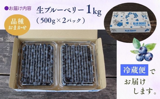 【2026年7月中旬～順次発送】 蒜山高原 ブルーベリー 約 1kg ( 500g 2パック ) 生ブルーベリー 国産 岡山県真庭市 朝採れ 甘い 果物 フルーツ ブルーベリー園 カルチベートガーデン 冷蔵 産地直送 くだもの 新鮮 スムージー ジュース ヨーグルト ジャム 国産 新鮮 ブルーベリー 甘い 岡山県 真庭市 送料無料 数量限定 【kbkb001-01】