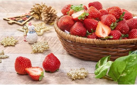 yÖszy~zY ܂  250`270g×2pbN y2025N12{`2026N1{\z 嗱