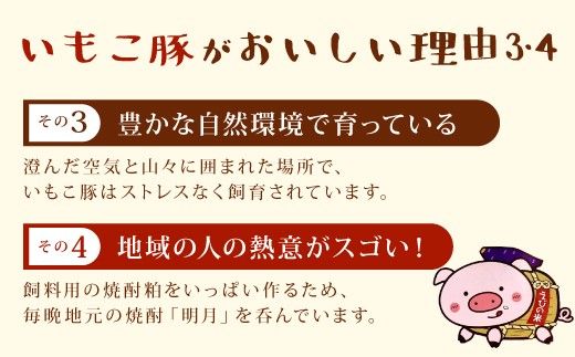 【6回定期便】豚肉 宮崎県産 いもこ豚 しゃぶしゃぶ セット 3kg × 6回 総合計 18kg しゃぶしゃぶ用 切り落とし 小分け 豚 豚バラ ロース 肩ロース スライス 小間切れ 鍋 鍋用 国産 九州産 宮崎 ブランド 冷凍 送料無料