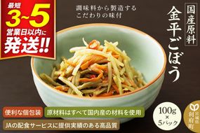 国産原料 金平ごぼう 100g×5パック [きんぴら キンピラ 人参 にんじん ニンジン 牛蒡 ごぼう ゴボウ]|06_kkm-350501