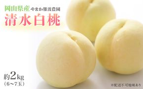 桃 【 2026年 先行予約 】 岡山県産 清水 白桃 （ 白桃 ） 約2kg（6～7玉） 《2026年7月中旬～8月上旬頃出荷》 白桃 岡山 フルーツ 果物 先行予約 数量限定 期間限定 里庄町 モモ もも 