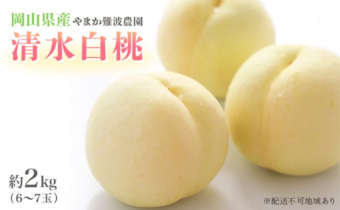 桃 【 2026年 先行予約 】 岡山県産 清水 白桃 （ 白桃 ） 約2kg（6～7玉） 《2026年7月中旬～8月上旬頃出荷》 白桃 岡山 フルーツ 果物 先行予約 数量限定 期間限定 里庄町 モモ もも 