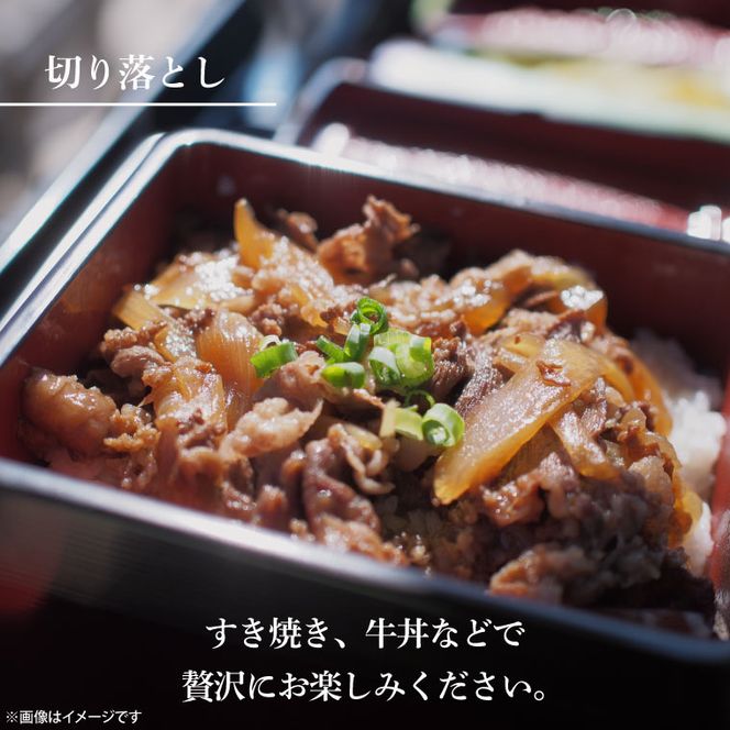 【2027年2月発送予定】最高級A4.A5ランク 常陸牛 切り落し 1kg（約500ｇ×2）【人気肉 お肉 牛肉 和牛 黒毛和牛 国産黒毛和牛 モモ 肩 切り落とし 国産牛 A5 A4 すき焼き 牛丼 ブランド牛】(CR106-2)