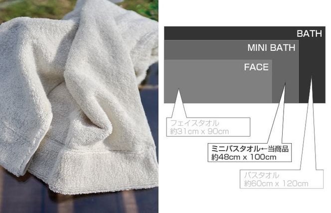 099H1874 【スピード発送】 エアーミニバスタオル2枚セット（ホワイト／ライトグレー）【泉州タオル 国産 吸水 普段使い シンプル 日用品 家族 ファミリー】