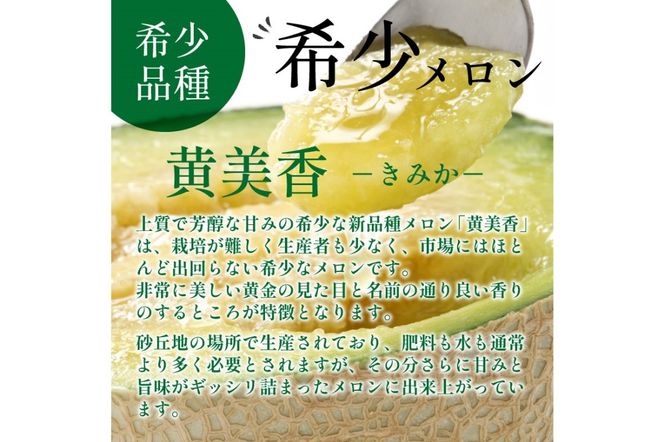 【先行予約／数量限定250】砂丘メロン 黄美香 2玉（2025年7月下旬～発送）　ZF00004