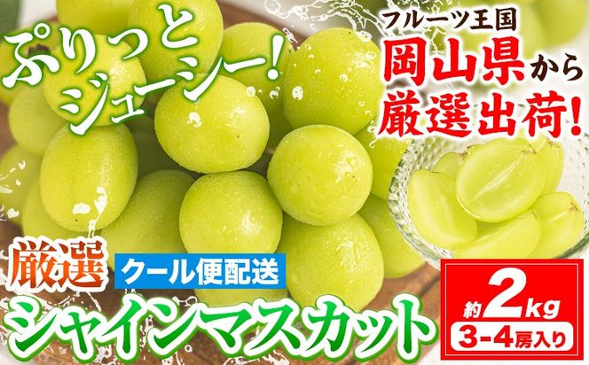 yR}szy2026Ns\zVC}XJbg 2kg (3-4[) s2026N9{-11{oׁtԂǂ uhE  }XJbg ʕ t[c Mtg R }s t[c }XJbg---kasaoka_zsy_222_20---