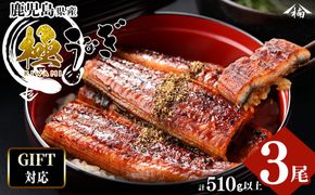 【ギフト対応】楠田の極うなぎ　蒲焼き170ｇ以上×3尾(計510ｇ以上） b2-018
