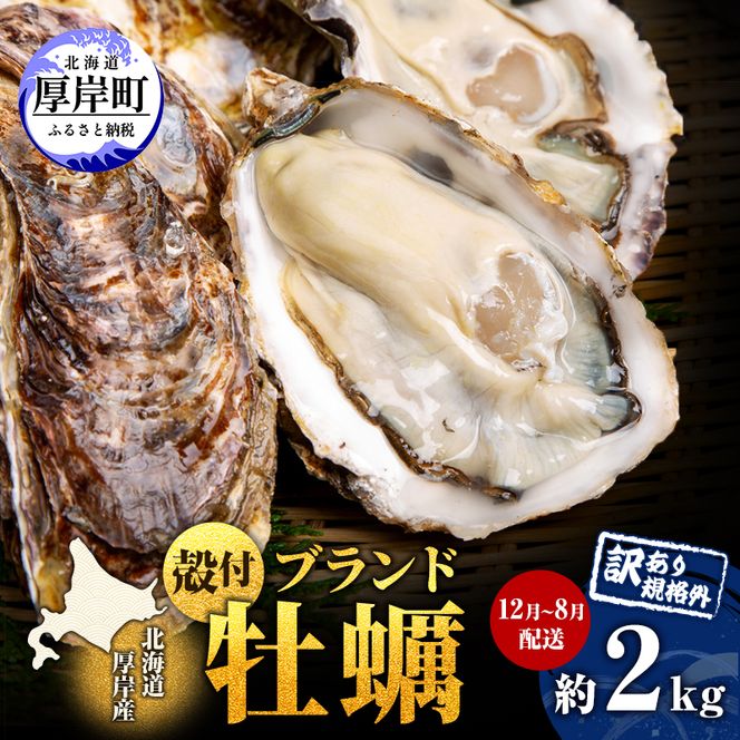 訳あり ハーフ 規格外 牡蠣 北海道厚岸産 殻付カキ 約2kg（11～25個）カキナイフ付 生食 魚貝類 生牡蠣 かき 生カキ カキフライ マルえもん いびつな形 四季によって違う味わい コクがあり濃厚