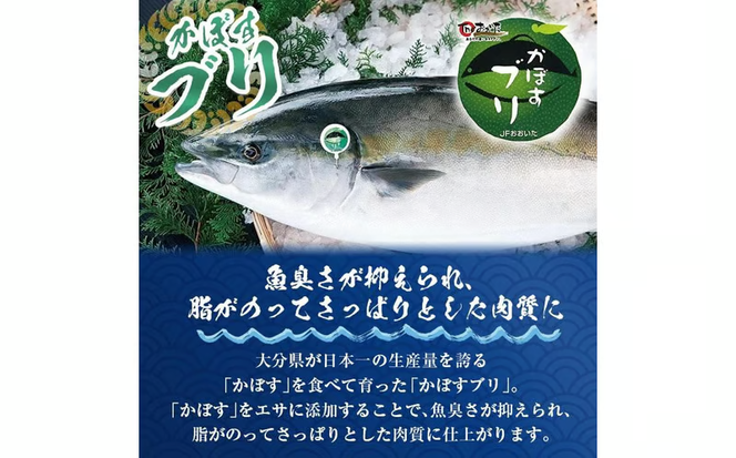 かぼすブリ フィーレ (2枚:約2kg) 期間限定 鰤 ブリ フィーレ フィレ ぶりしゃぶ 刺身 鰤しゃぶ 半身 魚 魚介類 養殖 大分県産 大分県 佐伯市【EW069】【Up】