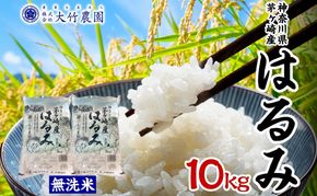 茅ヶ崎市産 はるみ 無洗米 10kg 5kg×2 特A 甘み 粘り つぶ感 しっかり ふっくら つやつや 冷めても美味しい 白米 精米 神奈川県産 お米 米 コメ こめ 大竹農園 神奈川県 茅ヶ崎市
