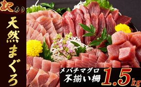 訳あり 天然マグロ 1.5kg (不揃い柵)　サク 柵 メバチ 目鉢 マグロ 鮪 まぐろ 100% 冷凍 刺身 海鮮 丼 刺し身 小分け 高知 室戸 大容量 ボリューム 20000円 tk082
