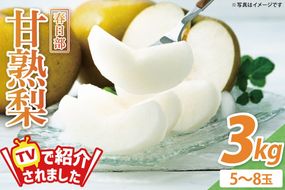 【8月中旬より発送】森田さんが作った☆春日部甘熟梨3kg☆（5～8玉）【埼玉県 春日部市 梨 なし ナシ 3kg 甘熟梨 完熟梨 フルーツ 果物 旬 産地直送】(BG003)