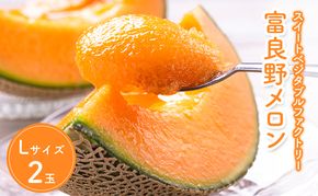 【2026年夏発送】北海道 富良野 メロン Lサイズ 2玉 計2.6kg以上 フルーツ 果物