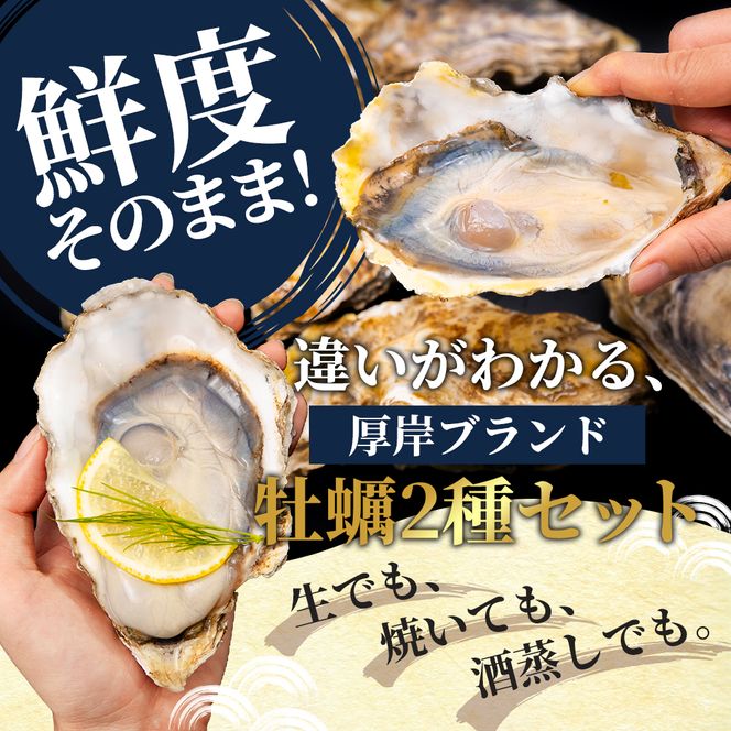 北海道 厚岸産 ブランド 殻付牡蠣 食べ比べ 弁天牡蠣 A3サイズ カキえもんLL サイズ 各6個 生食用 [ 牡蠣 カキ かき 生食 生食用 生牡蠣 食べ比べ 魚貝類 ブランド牡蠣 ]