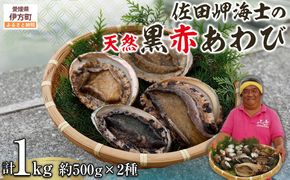 【数量限定】佐田岬海士の黒赤あわび【4/15～10/25の漁解禁日に合わせて発送】※北海道・東北地方・沖縄・離島への配送不可 IKTJ014