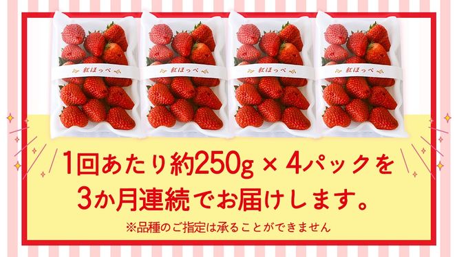 【定期便】いちご3ヶ月連続お届け便 （250g×4パック）×3回　【2027年1月から発送開始】（茨城県共通返礼品 [いちご]：城里町産） | 果物 フルーツ イチゴ 苺 白いちご とちおとめ 紅ほっぺ やよいひめ 定期便