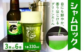 ビール シャムロック 330ml × 3本 6本 株式会社結城麦酒《30日以内に出荷予定(土日祝除く)》茨城県 結城市 ビール 酒 エール クラフトビール 瓶 国産 グリーンエール---yuki_mgi_22_3b---