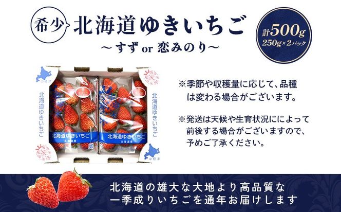 【受注後、随時発送！】【北海道産】ゆきいちご（すずor恋みのり） ２Pセット 各250g×２ 計500g | 苺 いちご 一季成りイチゴ 希少 ギフト お取り寄せ ふるさと納税 北海道 中標津【5900501】